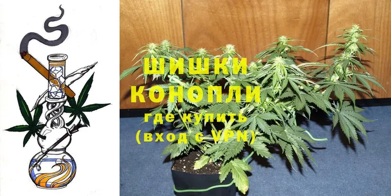 где купить наркоту  Крымск  МАРИХУАНА LSD WEED 